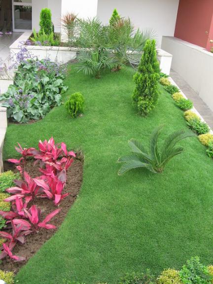 Vista de Jardinera Principal