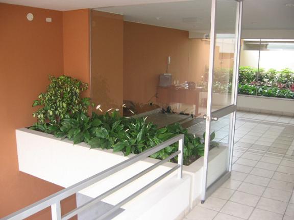 Vista de Jardinera Principal